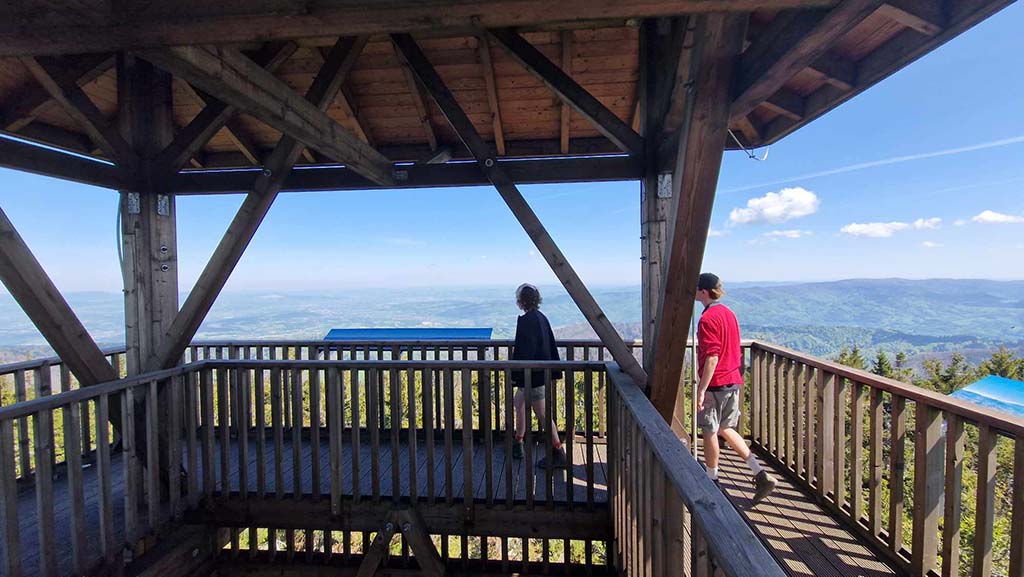 widok z wierzy widokowej na radziejowej na Beskid Sądecki